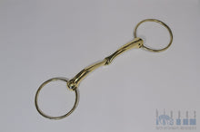 Load image into Gallery viewer, DW100G Hippus horse bit