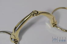 Load image into Gallery viewer, DW100G Hippus horse bit