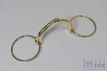 Load image into Gallery viewer, DW100G Hippus horse bit